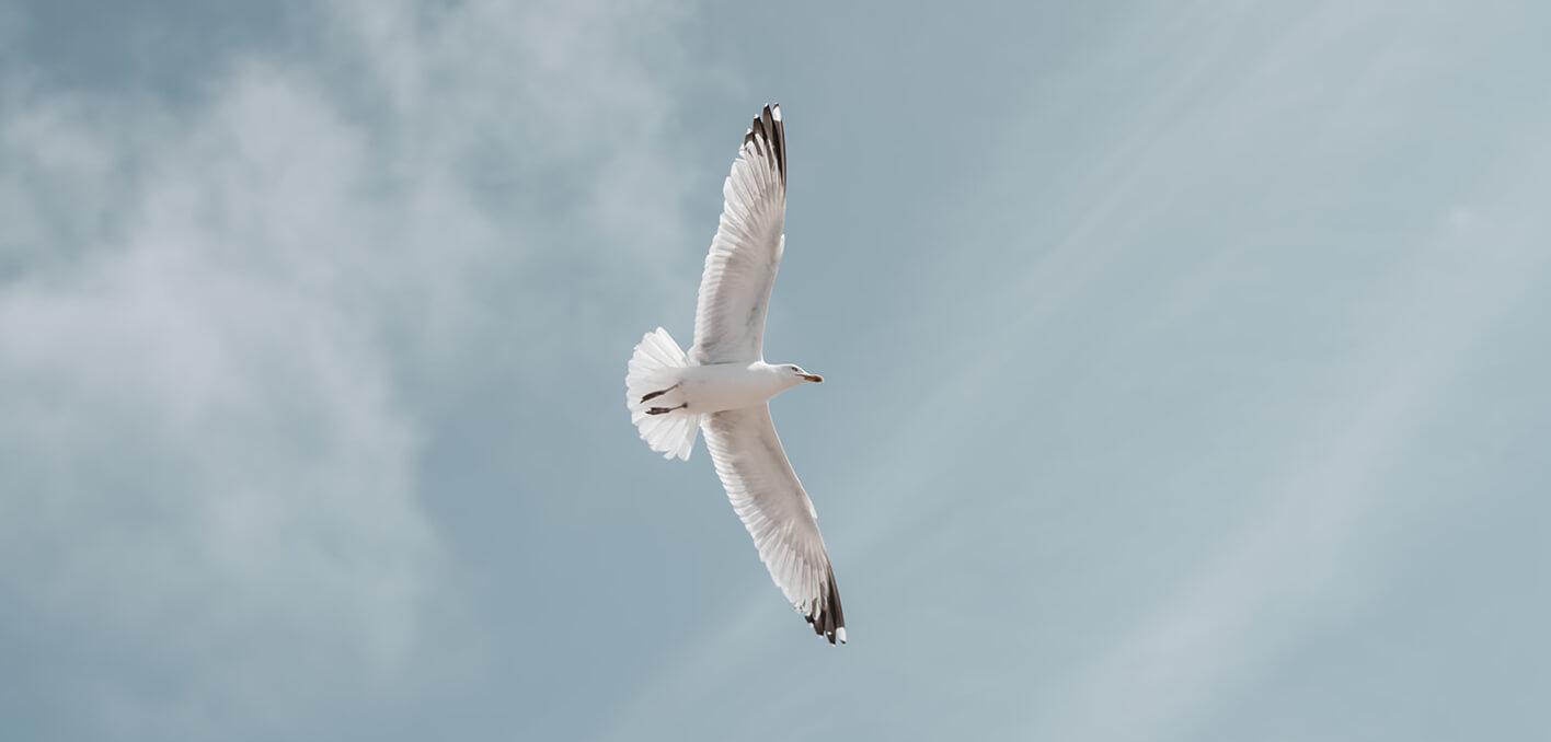 Opstellingen, meditaties, yoga en wandelen in de prachtige natuur van Texel